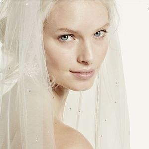 Starry Night Inspired Cathedral Veil with Crystals